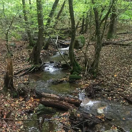 Vulkaneifel Bei Hepp بيت للعطل Schonbach (Vulkaneifel)