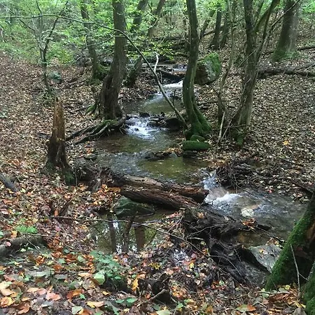 Vulkaneifel Bei Hepp * Schonbach (Vulkaneifel)